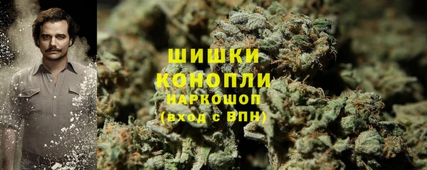 сатива Касимов