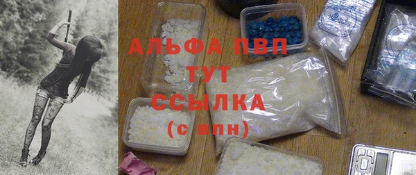 сатива Касимов