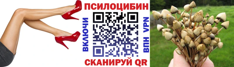 Галлюциногенные грибы ЛСД  Купить закладки  Тимашёвск 
